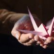 MasterOrigami